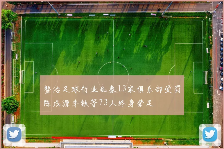 整治足球行业乱象13家俱乐部受罚陈戌源李铁等73人终身禁足