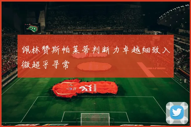 佩林赞斯帕莱蒂判断力卓越细致入微超乎寻常