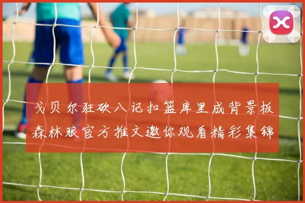戈贝尔狂砍八记扣篮库里成背景板森林狼官方推文邀你观看精彩集锦