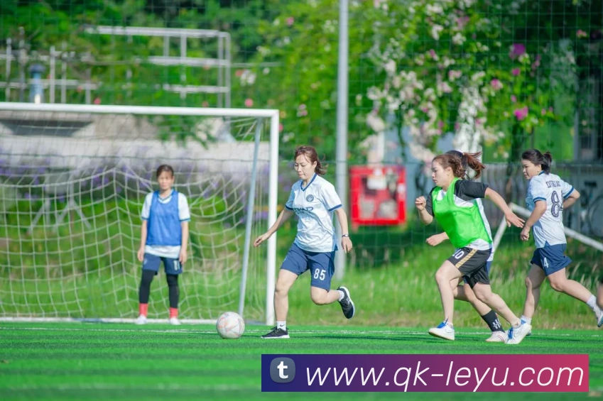 乐鱼体育平台生态图