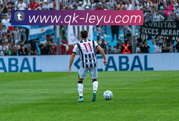 乐鱼体育APP 封面图